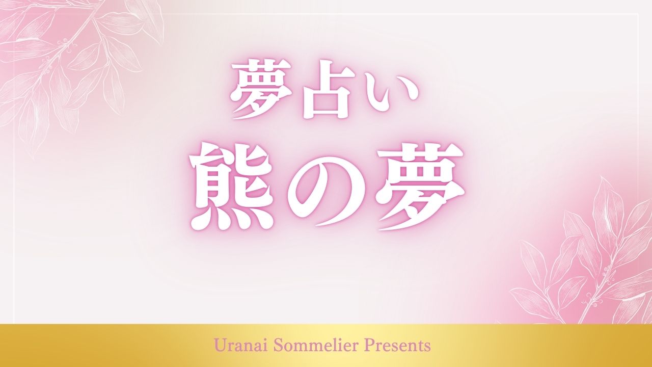 夢占い 熊